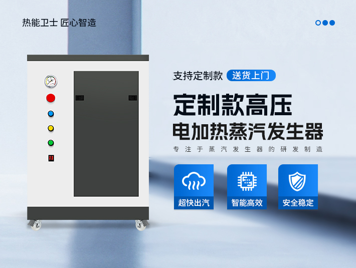 定制款高压蒸汽发生器