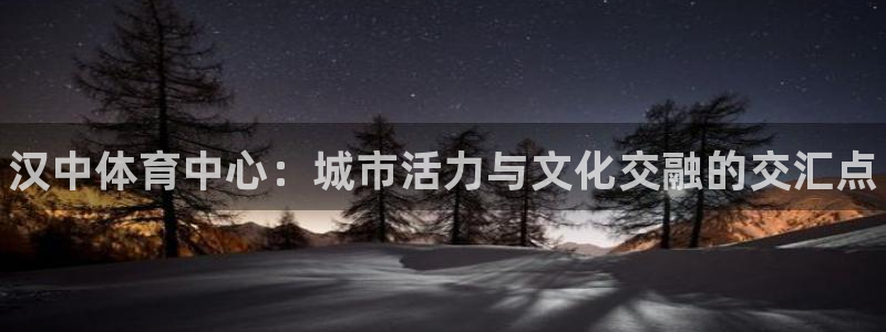 一竞技官网下载招商电话地址查询:汉中体育中心:城市活力与文化