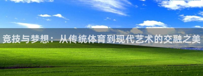 一竞技官网下载平台是正规平台吗安全吗:竞技与梦想:从传统体育