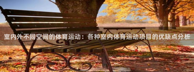 一竞技官网下载平台是正规平台吗:室内外不同空间的体育运动:各