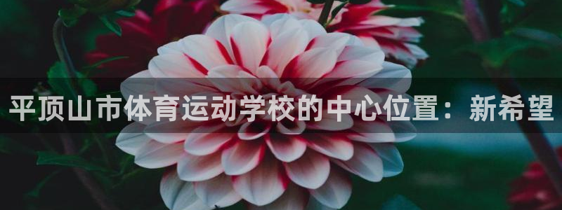一竞技官网下载招商电话号码是多少啊:平顶山市体育运动学校的中