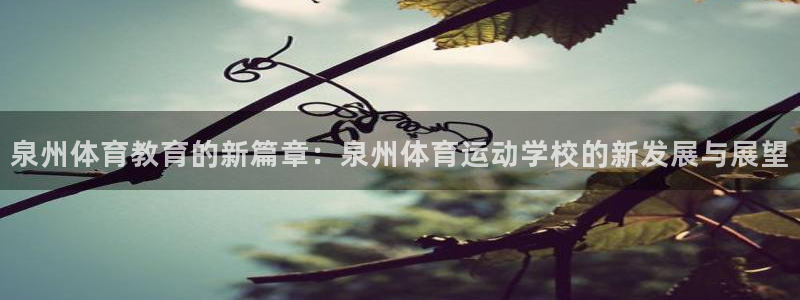 一竞技官网下载平台注册要钱吗安全吗:泉州体育教育的新篇章:泉