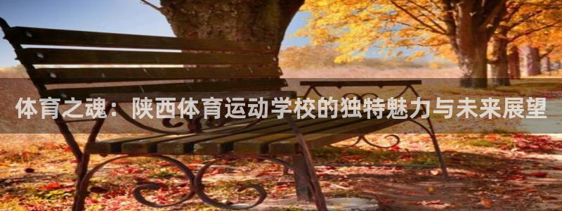 一竞技官网下载平台APP:体育之魂:陕西体育运动学校的独特魅