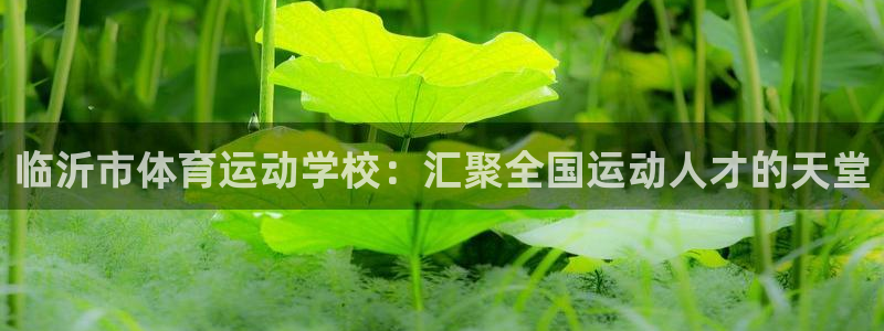 一竞技官方正版app集团官网网址:临沂市体育运动学校:汇聚全