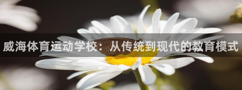 一竞技官方正版app集团官网首页网址:威海体育运动学校:从传