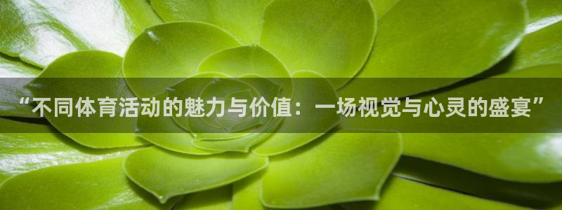 一竞技官网下载招商电话号码查询:“不同体育活动的魅力与价值: